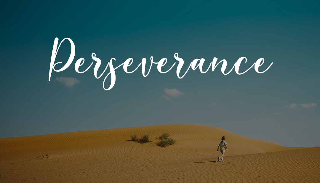 Perseverance by: Alicia Carrera