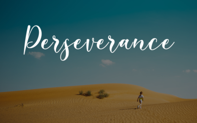 Perseverance by: Alicia Carrera