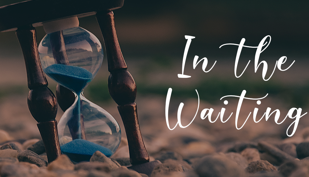 In the Waiting by: Robin Dodge
